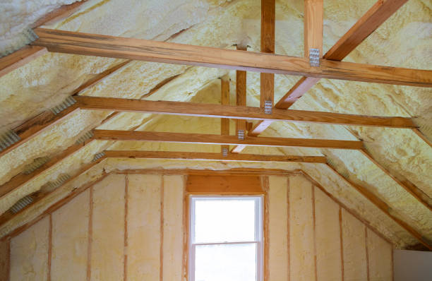 Best Geographic-Specific Insulation Services in Alturas, FL