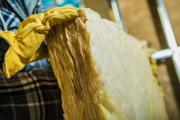 Best Blown-in Insulation in Alturas, FL