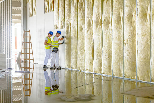Types of Insulation We Offer in Alturas, FL